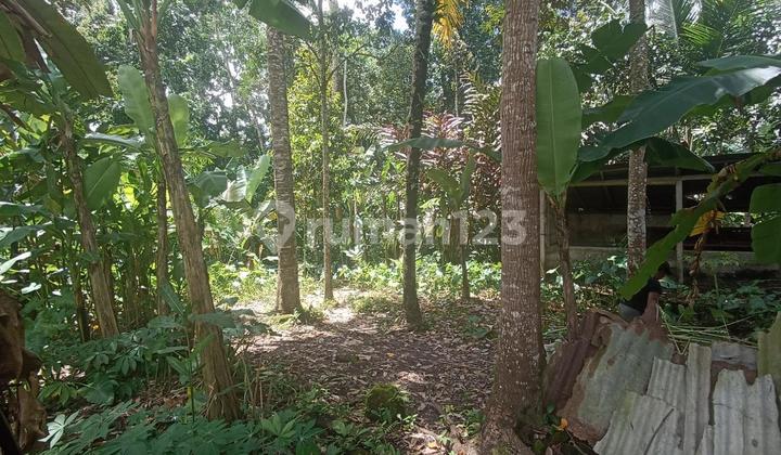 Tanah Strategis 7 Are Disewakan, di Area Premium Ubud, Gianyar Tanah Strategis 7 Are Disewakan, di Area Premium Ubud, Gianyar