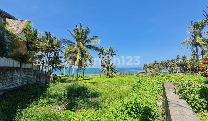 The Land 55 ares at Beachfront For Lease, Seseh Beach area