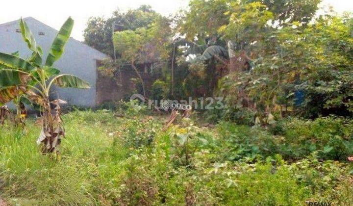 Tanah 30 Are Siap Dibangun Disewakan,di Gianyar 1