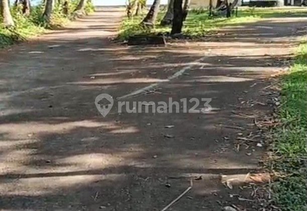 125 Are Beach View Land for Sale, in Buleleng, Singaraja Area