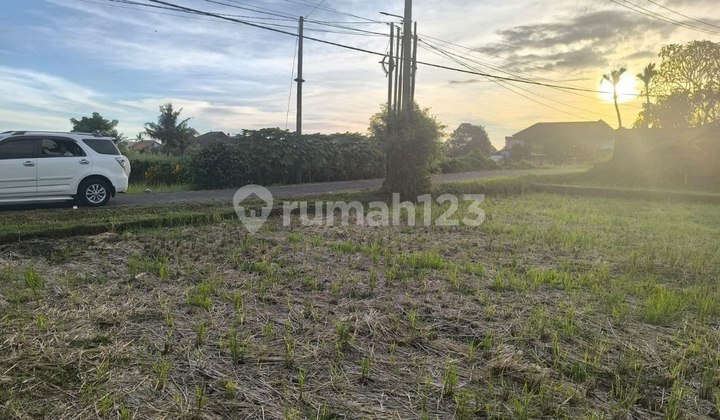 Tanah 16,68 Are Zona Perumahan Dijual, di Kedungu Tabanan Area Tanah 16,68 Are Zona Perumahan Dijual, di Kedungu Tabanan Area