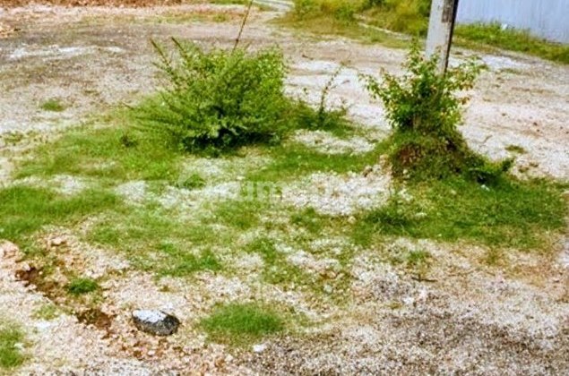 Tanah 15 Are Dekat Pantai Pandawa Disewakan di, Nusa Dua Area