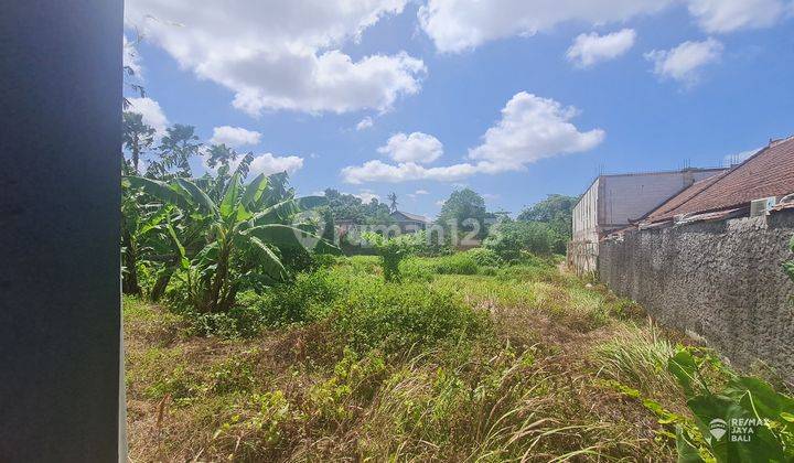 Tanah Disewakan Lokasi Strategis, Area Canggu 1