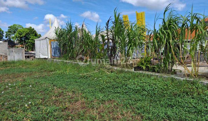 Land Plot For Rent Price Per Are, Canggu Area 1