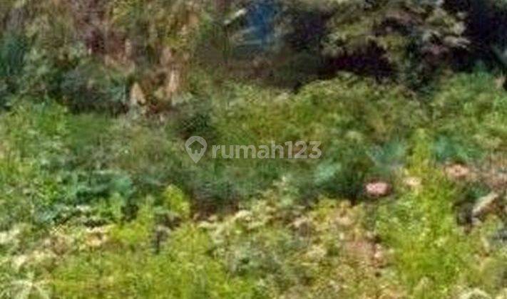Tanah 30 Are Siap Dibangun Disewakan,di Gianyar 2