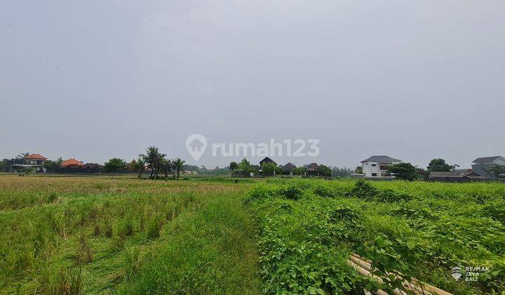 Land For Rent 30 Years Near Kedungu Beach, Tabanan Area 1