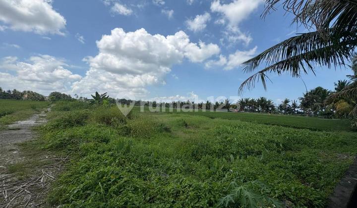 Tanah Kavling 3,26 are dengan View Sawah Dijual, Kediri Tabanan area Tanah Kavling 3,26 are dengan View Sawah Dijual, Kediri Tabanan area