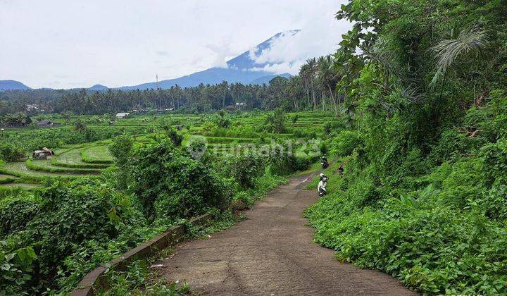 Tanah View Gunung Dijual , Laut Dan Sawah Yang Sangat Cantik. 2