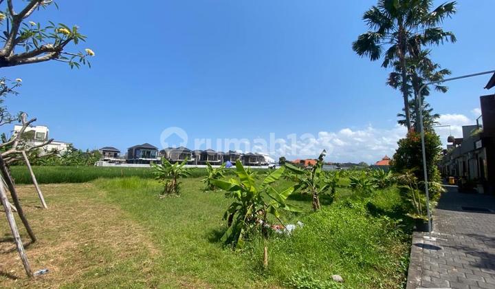 Dijual Tanah Kavling Strategis Dengan Luas Global 2.000 M2 Di Batu Belig, Canggu