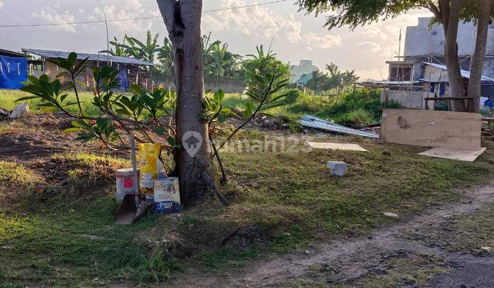 Tanah Kavling 4.2 Are Siap Bangun Dijual, Area Denpasar Timur 1