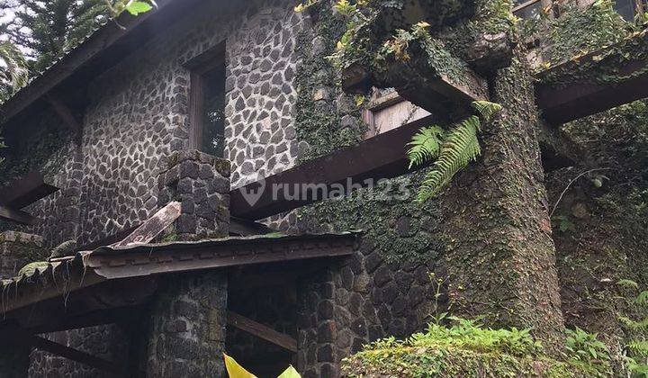 Tanah 12 Are Bonus Villa Dijual, area Buleleng	 1