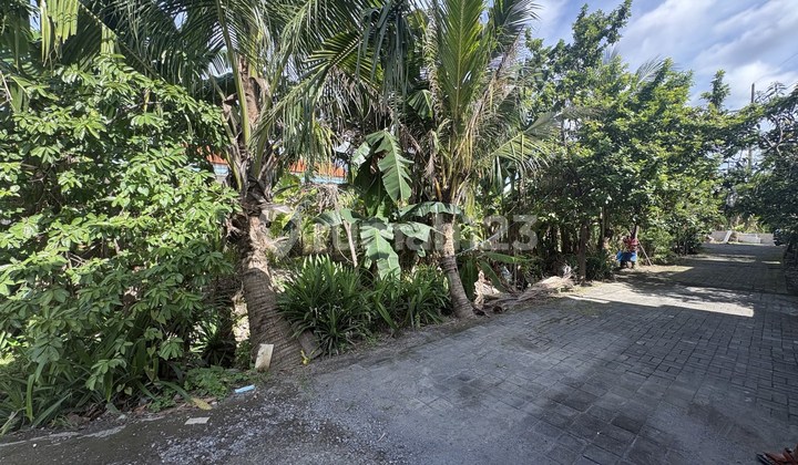 Strategic Land 6.8 Are for Rent, in Mahendradatta, Denpasar Area