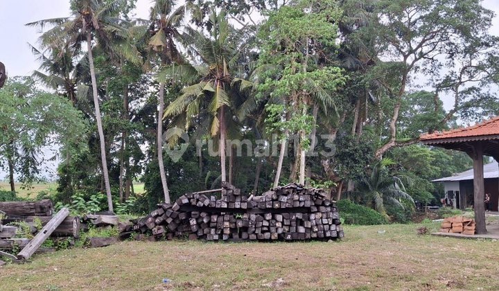 Tanah 28,75 Are View Sawah Dijual, di Tanah Lot Tabanan Area Tanah 28,75 Are View Sawah Dijual, di Tanah Lot Tabanan Area