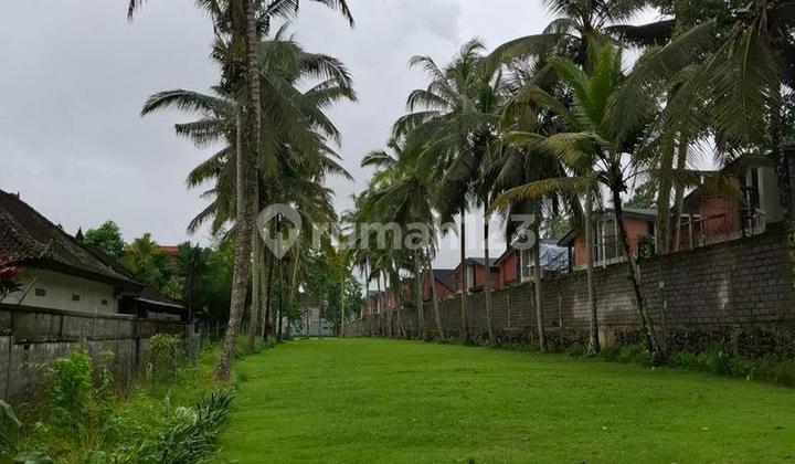 Tanah Strategis 31 Are Siap Bangun Dijual, di Pusat Ubud Area