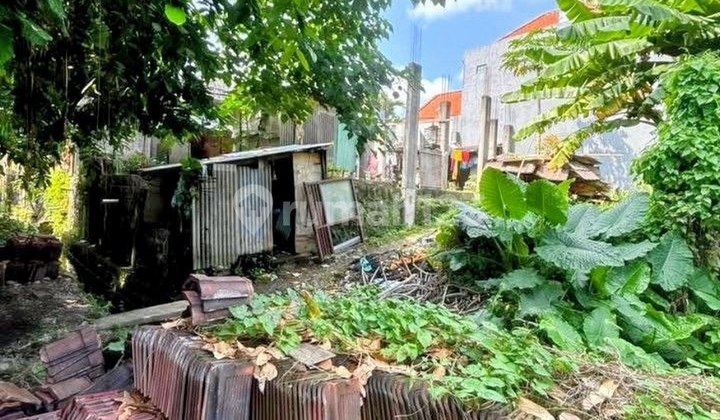 Tanah Premium dan Murah 3,36 Are Disewakan, di Babakan, Canggu Area