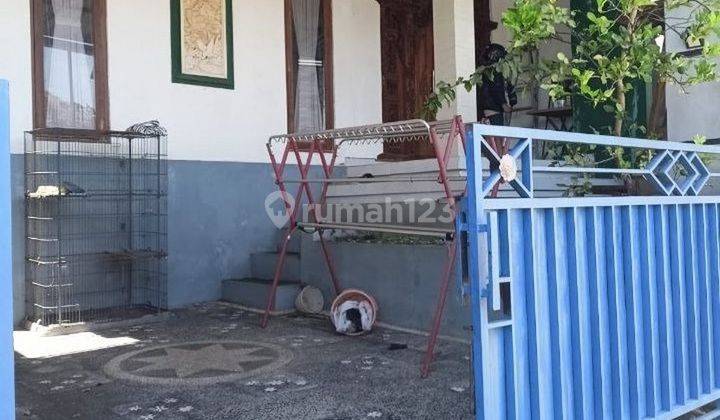 Rumah Minimalis 1 Lantai Terawat Disewakan, Area Tabanan 1