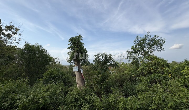 Tanah 10 Are Dapat View Laut dan Bandara Dijual, Jimbaran Area