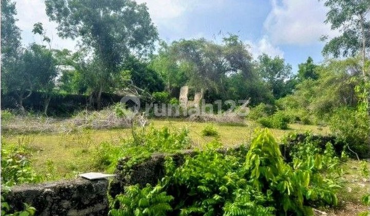 Beautiful and Premium 5.96 Area Land for Sale, in Ungasan Area Beautiful and Premium 5.96 Area Land for Sale, in Ungasan Area