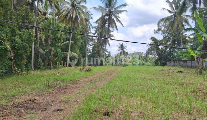 Tanah Cantik 49,6 Are Cocok Untuk Bangun Resort Dijual, Gianyar Area