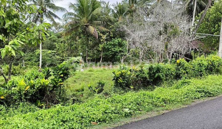 Tanah 57,3 Are Lokasi Pariwisata Dijual, di Selemadeg, Tabanan Area