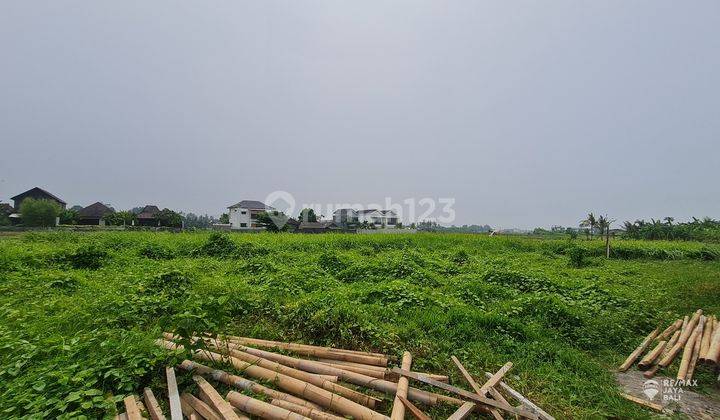 Land For Rent 30 Years Near Kedungu Beach, Tabanan Area 2