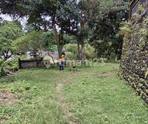 Tanah 30,2 Are Zona Perumahan Dijual, di Area Penatih Denpasar Tanah 30,2 Are Zona Perumahan Dijual, di Area Penatih Denpasar