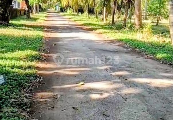 125 Are Beach View Land for Sale, in Buleleng, Singaraja Area