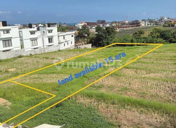 Land 15 Are For Lease Near Seseh Beach
