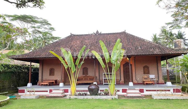 The Beautiful Semi Villa Home For Sale, in Pejeng, Gianyar Area