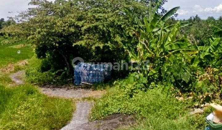 Tanah 2,13 are Siap Bangun Lokasi Strategis Dijual, Cemagi Badung area Tanah 2,13 are Siap Bangun Lokasi Strategis Dijual, Cemagi Badung area