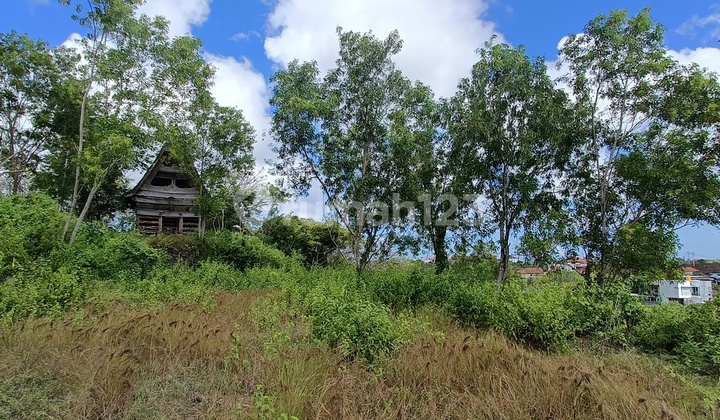 Tanah 17,5 Are View Bagus di Kawasan Bukit Dijual, di Jimbaran Area Tanah 17,5 Are View Bagus di Kawasan Bukit Dijual, di Jimbaran Area