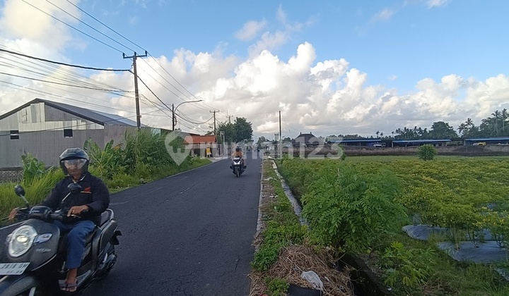 Land 30 Ares Location Near Kapal Hospital for Rent, in Lukluk.