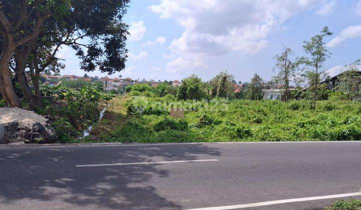 Beautiful Land 11.8 Are For Rent, Canggu Area 1