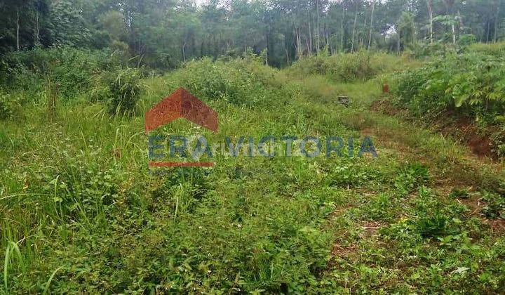 Tanah Kavling Minimalis di Ngenep Karangploso 1
