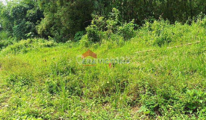 Tanah Kavling Minimalis di Ngenep Karangploso 3