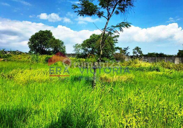 Tanah Luas 3.600 Meter Persegi di Depan Kebun Raya Purwodadi 2