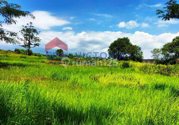 Tanah Luas 3.600 Meter Persegi di Depan Kebun Raya Purwodadi 3