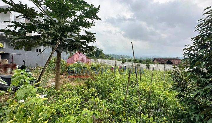 Tanah Lokasi Dau Mepet Kota Batu Sudah Tembok Keliling 4