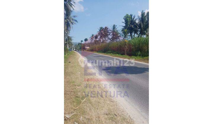 Dijual Lahan Luas Area Turen Lokasi Pinggir Jalan Raya Beserta Tanaman Tebu 4