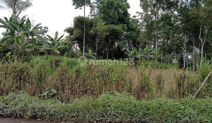 Dijual Tanah Tumpang 18.364 M2 Sertifikat Hak Milik Rp 350.000 m2 2