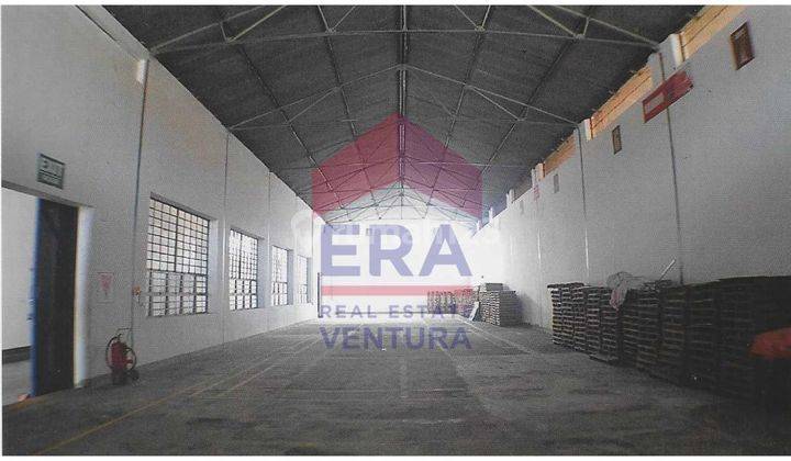 Gudang Dijual Di Pamekasan Madura Luas Bangunan + 4.096 M2 1