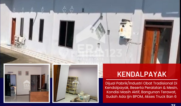 Active Traditional Medicine Industrial Plant in Kendalpayak