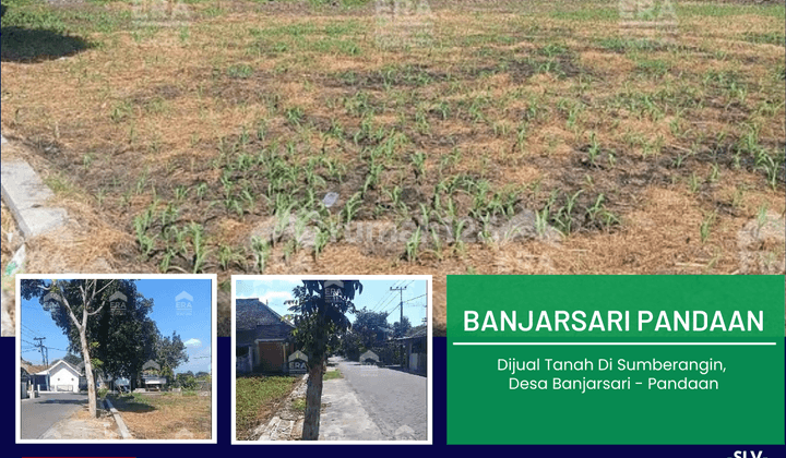 Dijual Tanah Di Sumberangin, Desa Banjarsari Pandaan 1