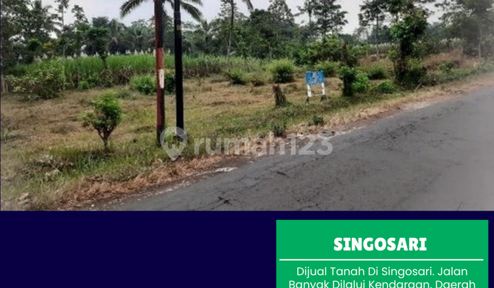 Dijual Tanah di Singosari. Jalan Banyak Dilalui Kendaraan