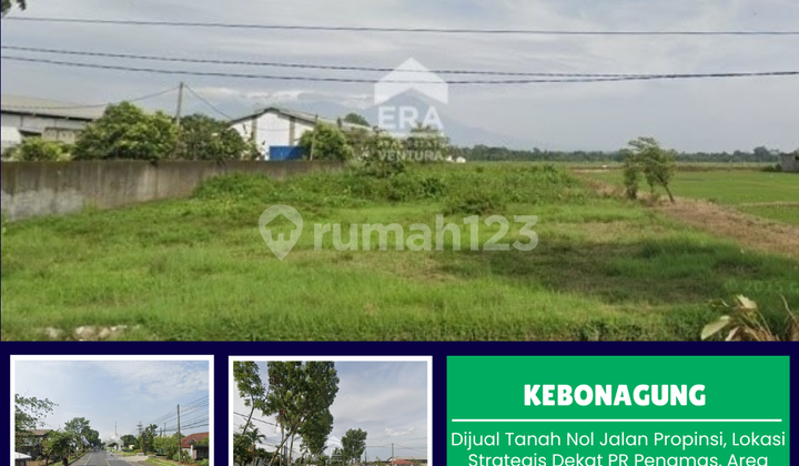 Land for Sale on Provincial Road, Prime Location Near Penamas.