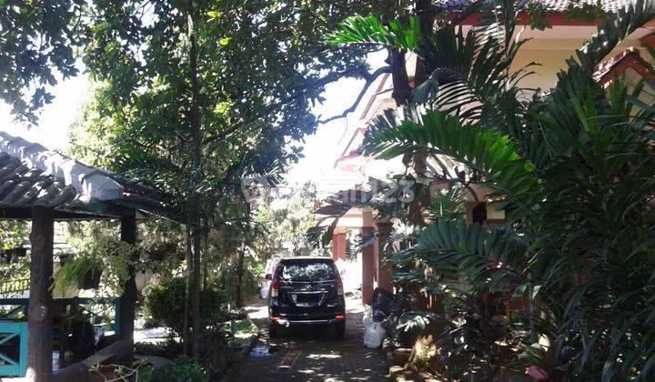 Rumah Yang Sejuk di Margasatwa Raya, Jaksel 1