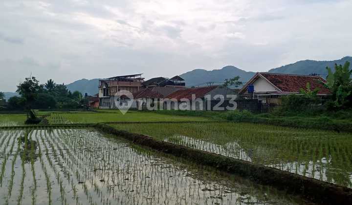 Turun Harga Tanah Sawah Mainroad Sukabumi 3