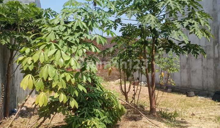 Tanah Kavling Siapbangun Area Riung Gedebage Bandung Tanah Kavling Siapbangun Area Riung Gedebage Bandung