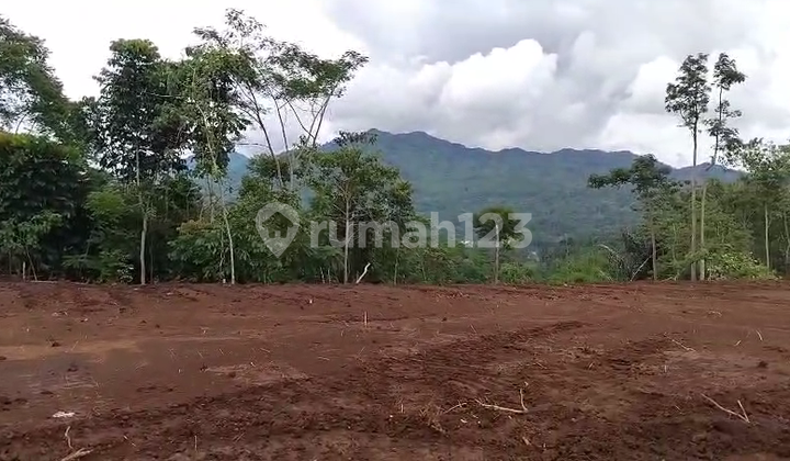 Tanah Luas Murah Zona Desa Sukahayu Rancakalong Sumedang