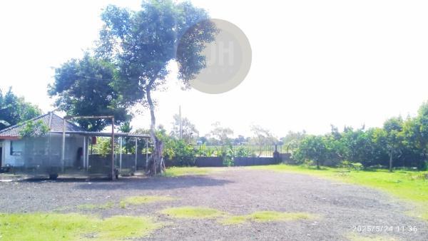 Land Ready to Build in Strategic Location at Cikarageman, Setu, Bekasi.